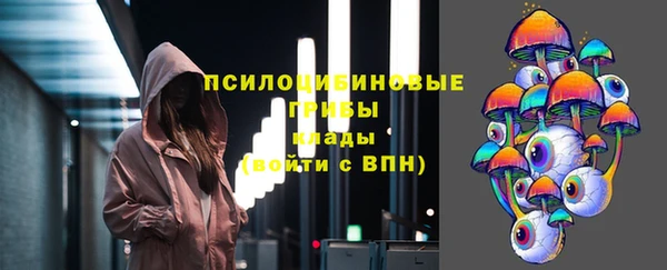 мдпв Богданович
