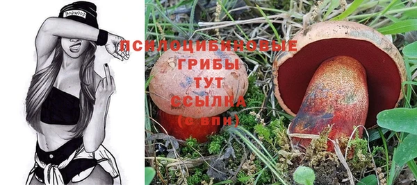 мескалин Богородицк