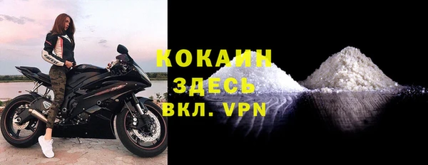мдпв Богданович