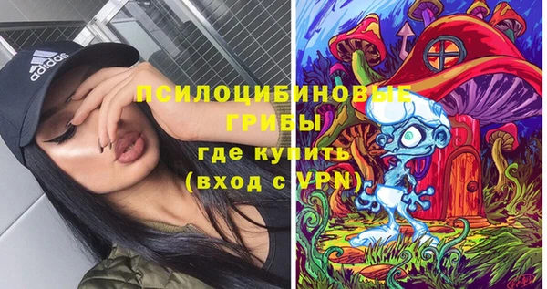 мескалин Богородицк