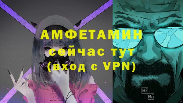 мдпв Богданович