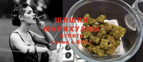 мдпв Богданович
